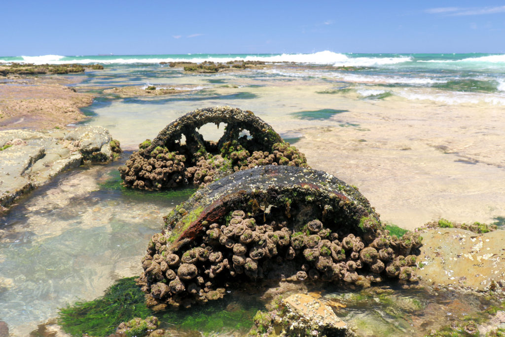 Rusty Rail Wheel on the Rock Platform at Burwood Beach