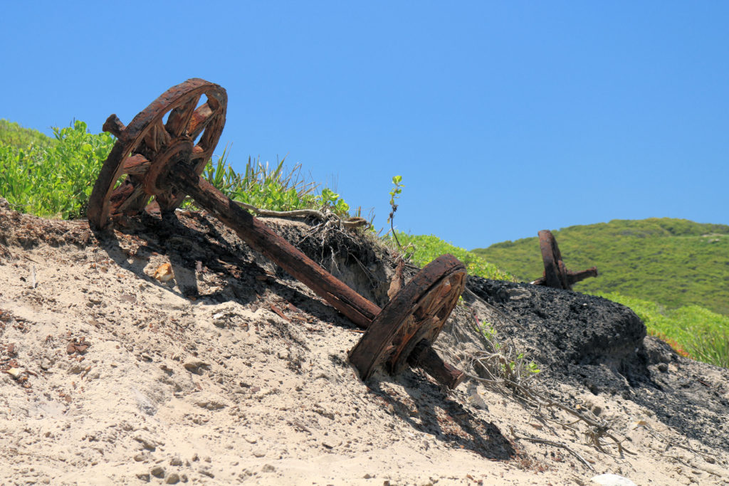 Rusty Rail Wheel in the Sand Dunes at Burwood Beach