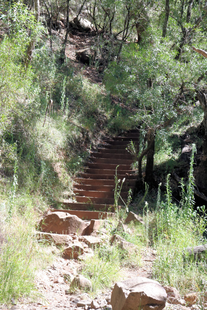 Steps Down to the Creek Bed