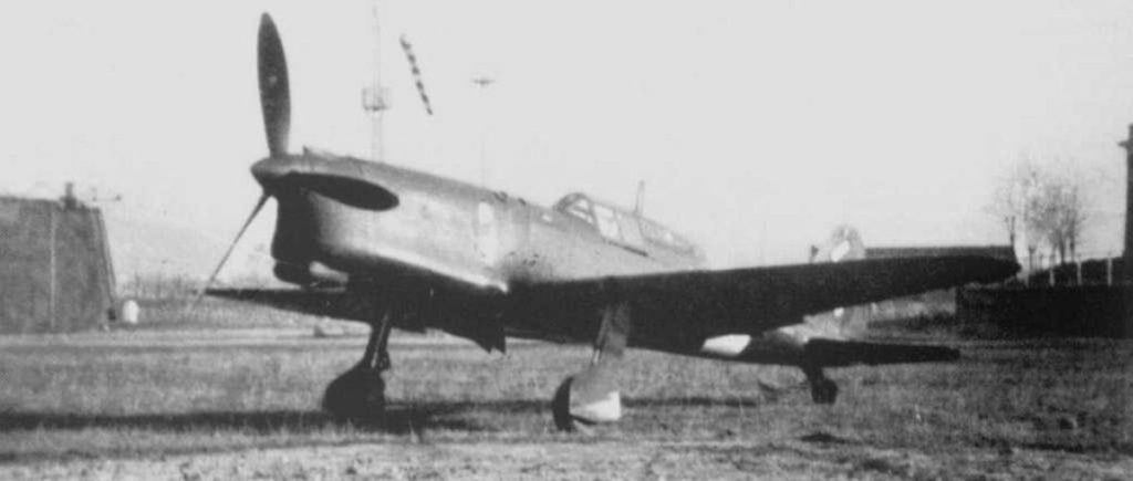 Ambrosini SAI.207 Italian Fighter