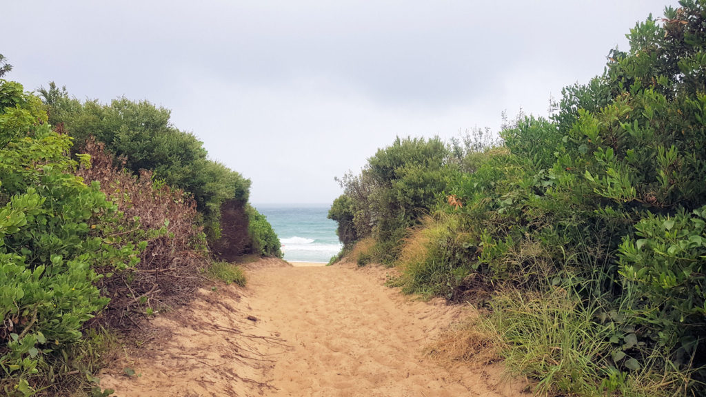 Access Down to the Beach