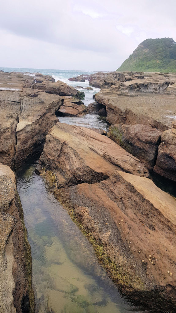 Large Crevice in the Rock Platform