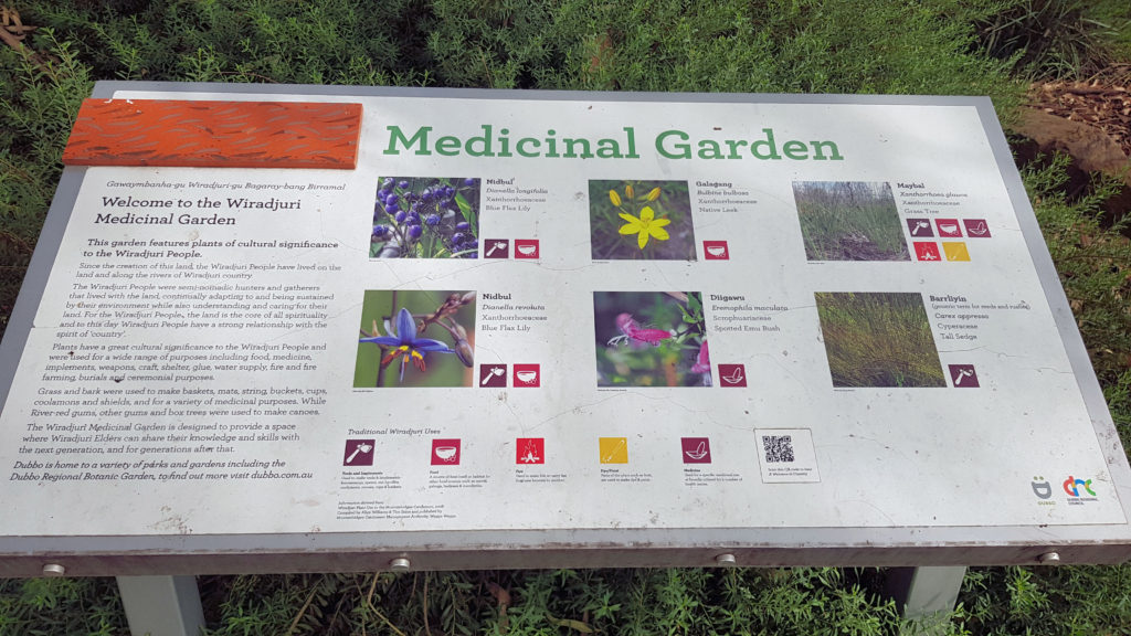 Medicinal Garden