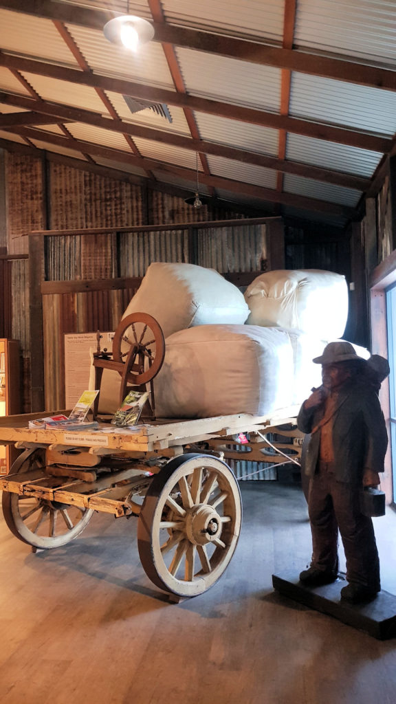 Inside the Museum