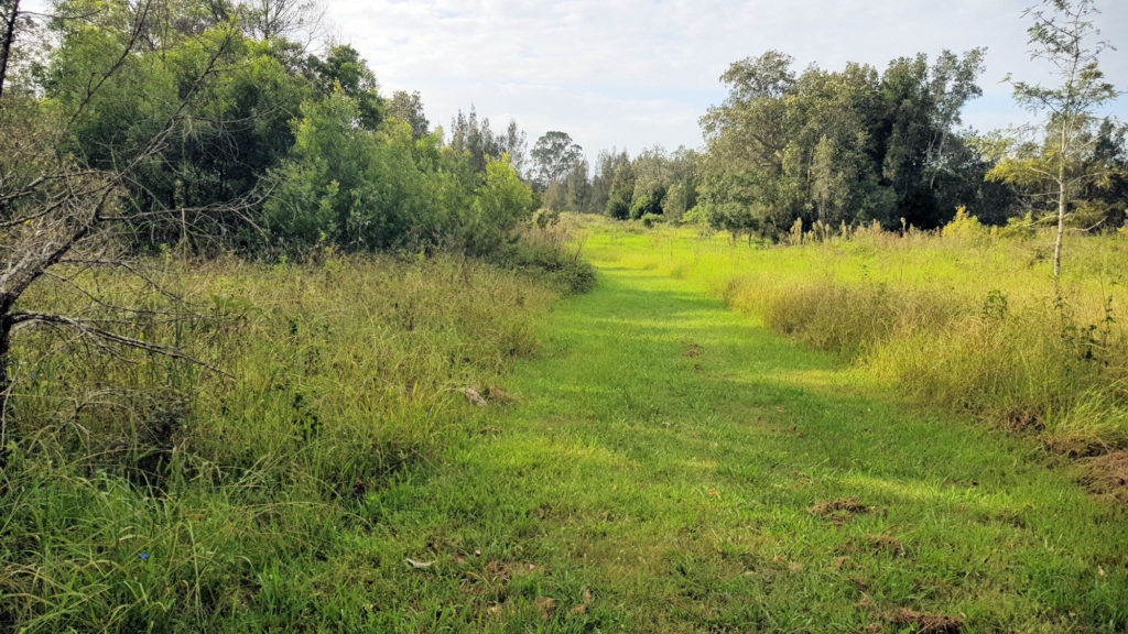 Track From St Andrew's Anglican Church to Tom's Cottage