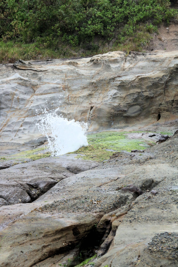 The Baby Blow Hole Dudley Beach