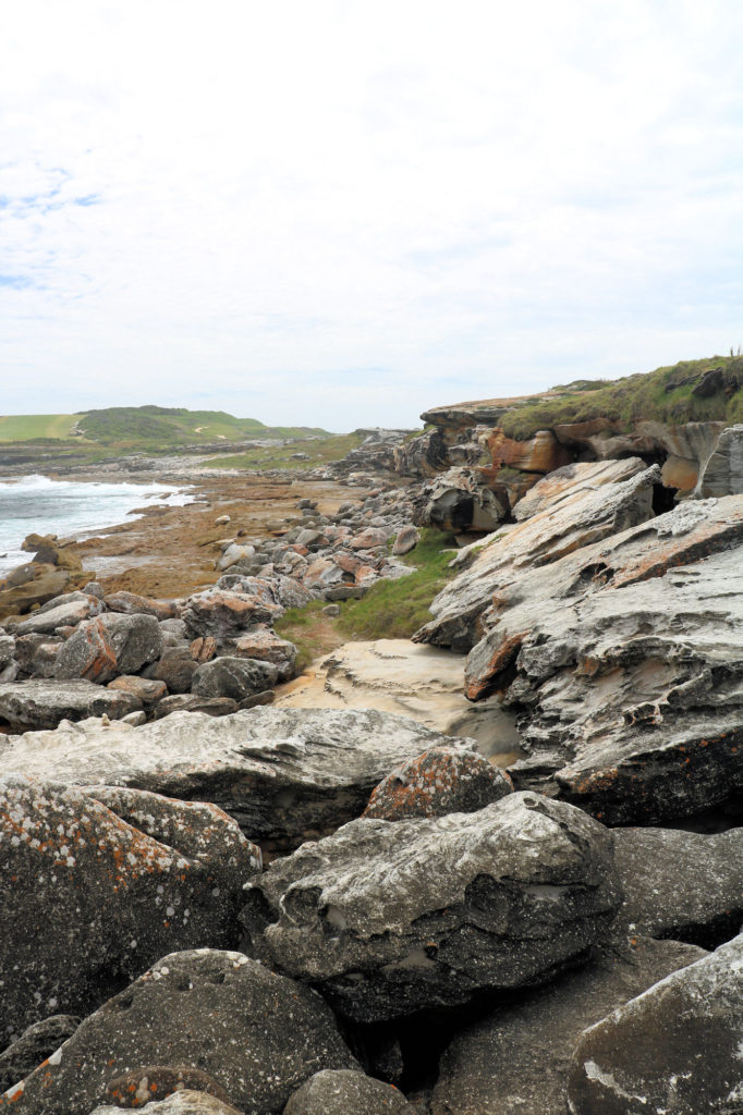 Looking Along Cape Banks From the SS Minmi