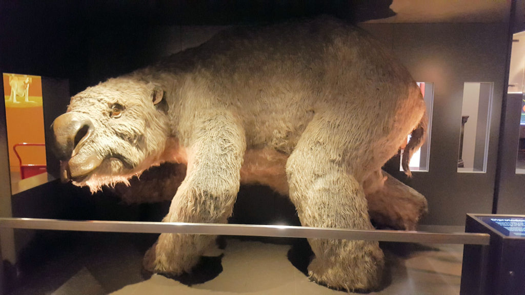 Diprotodon