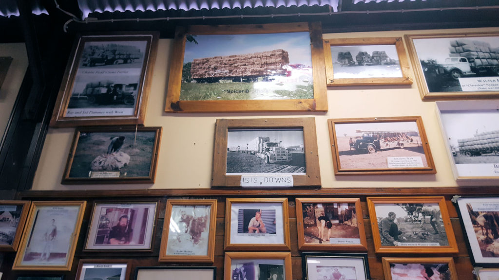 Photos of the Shearing Industry