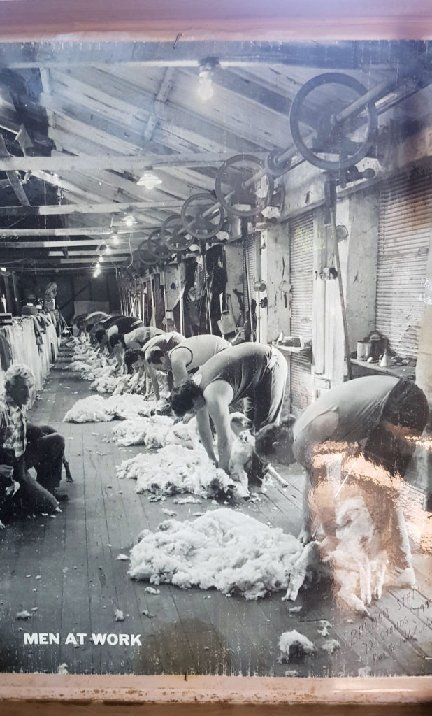 How the Shearing Shed Used to Look