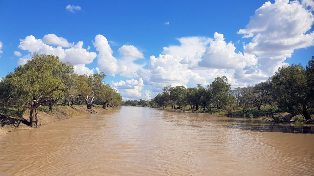 Darling River From the Jandra