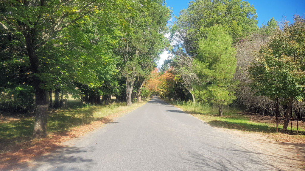 The Road Into Hill End