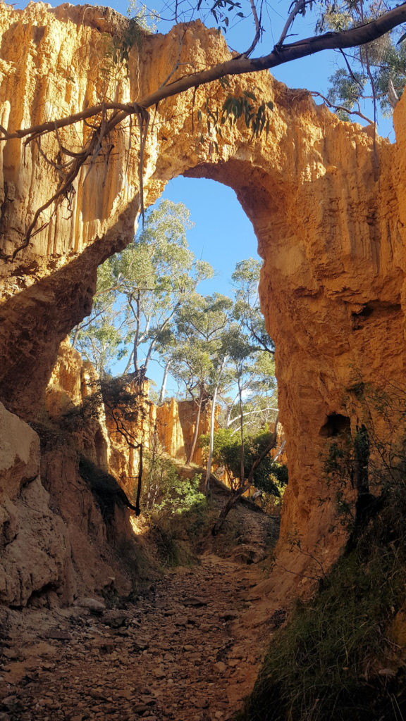 The Arch on the Golden Gully Walking Track