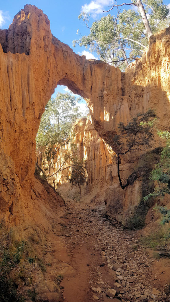 The Arch on the Return Trip