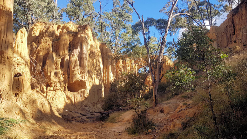 Golden Gully Walking Track Hill End