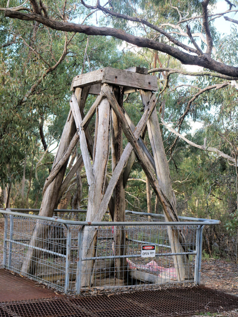 Valentines Mine Shaft