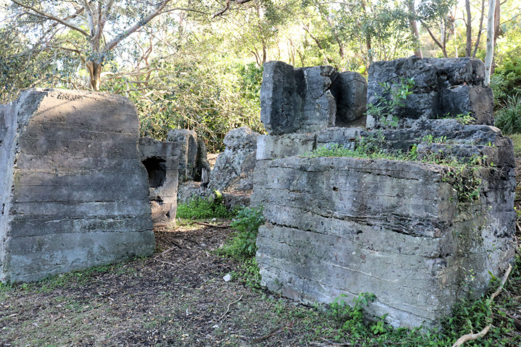 Remains of the Timber Yard at Sawmillers Reserve