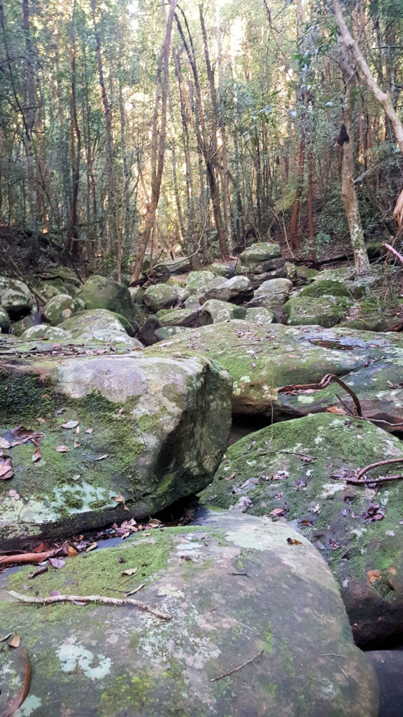 Boulders in a Creek