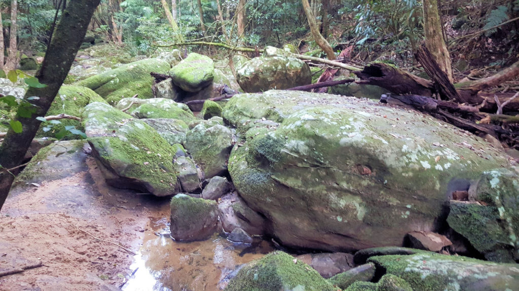 Boulders in a Creek