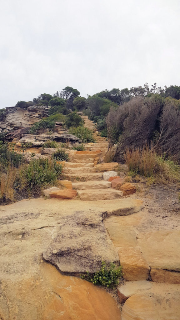 Sandstone Stairway on the Coastal Track