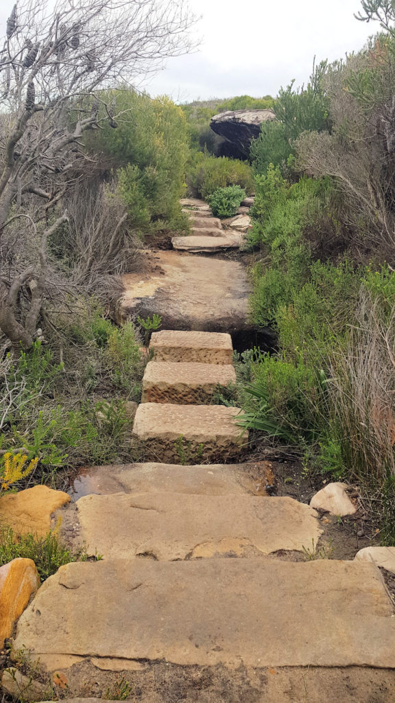 Stepping Stones Over a Creek