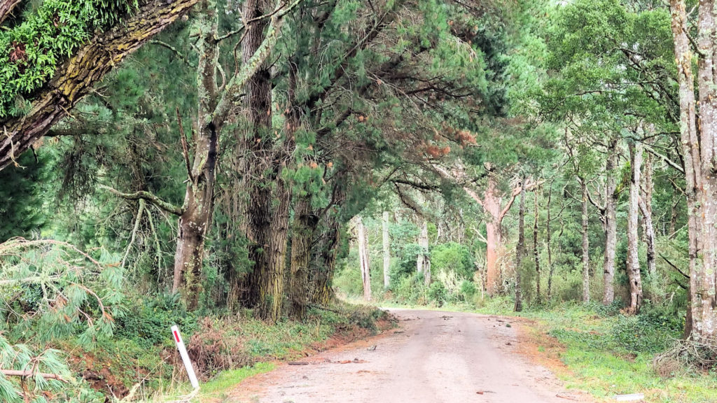 Dirt Road