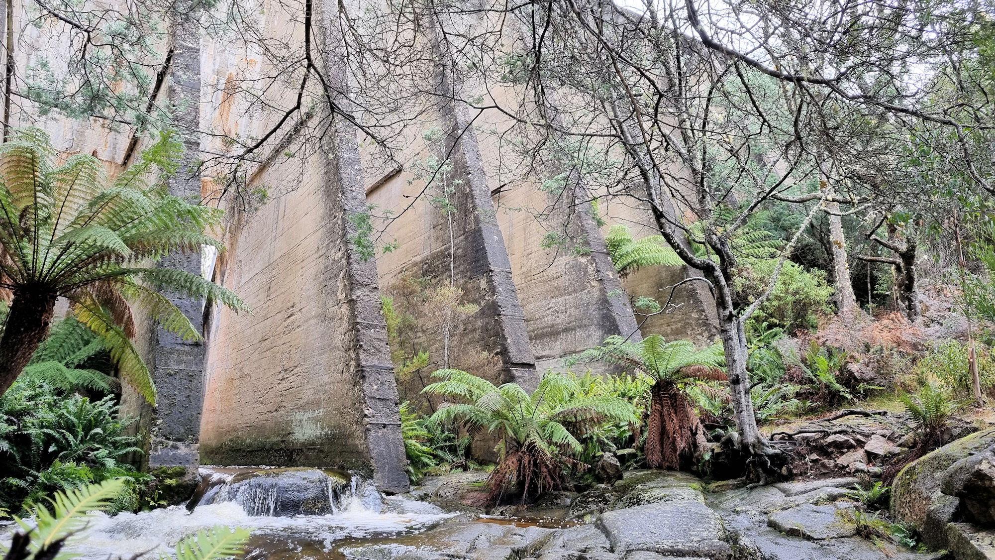 Mount Paris Dam Wall