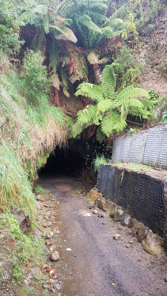 Entrance to the Tunnel