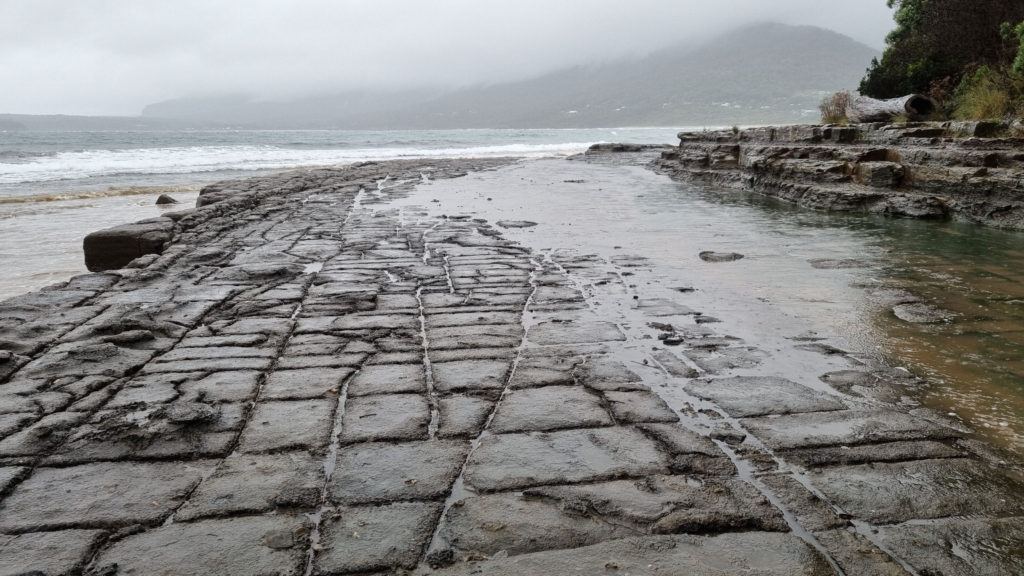 Tessellated Pavement Eaglehawk Neck