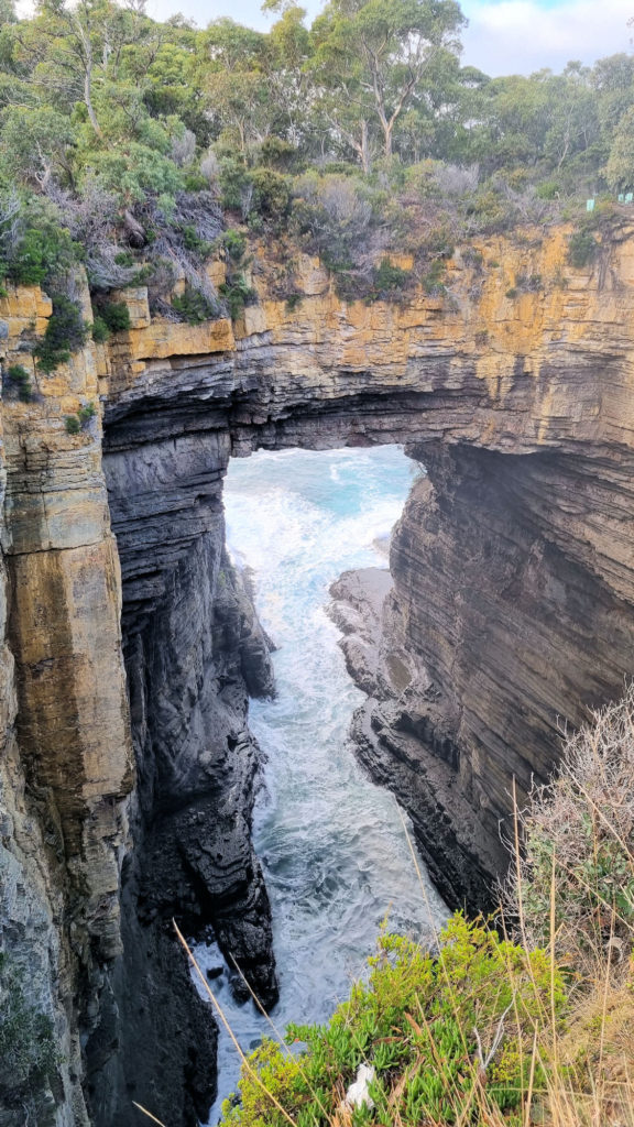 Tasman Arch