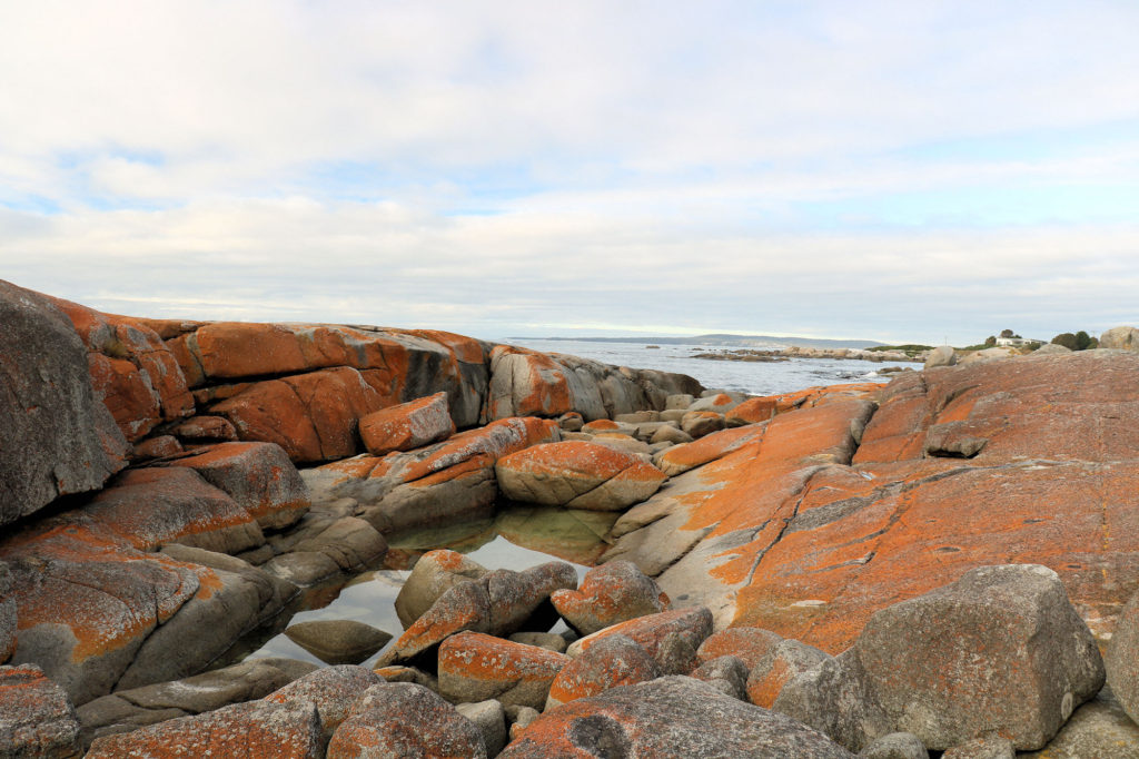 Orange Coloured Rocks Bay of Fires