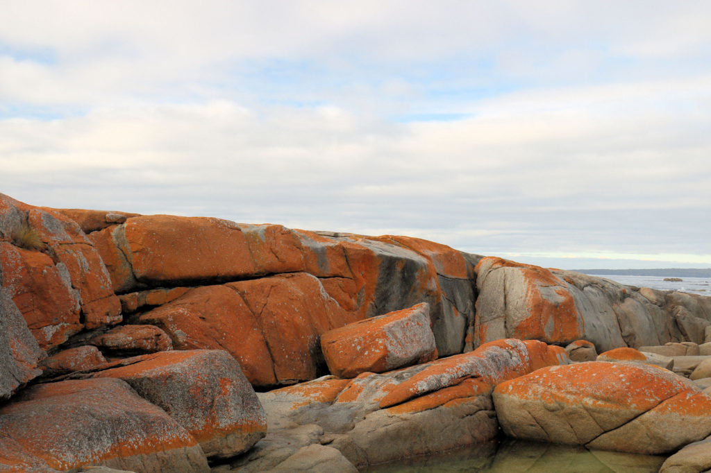 The Gardens on the Bay of Fires