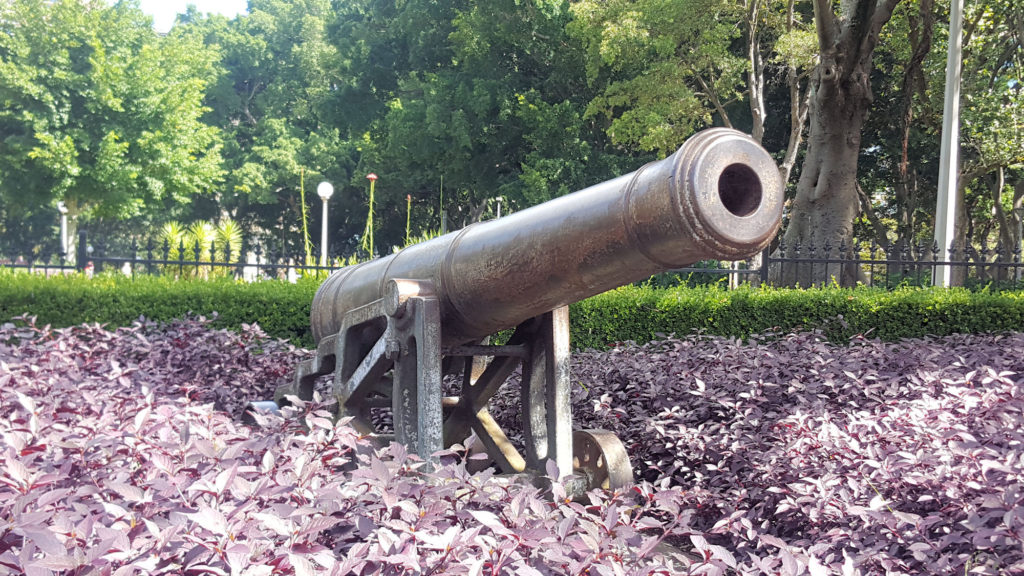 Cannon