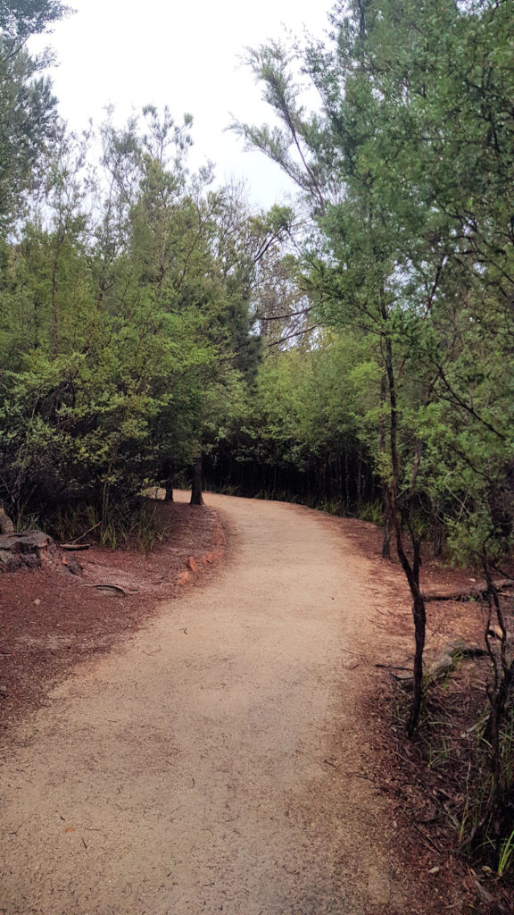 Start of the Wineglass Bay Track