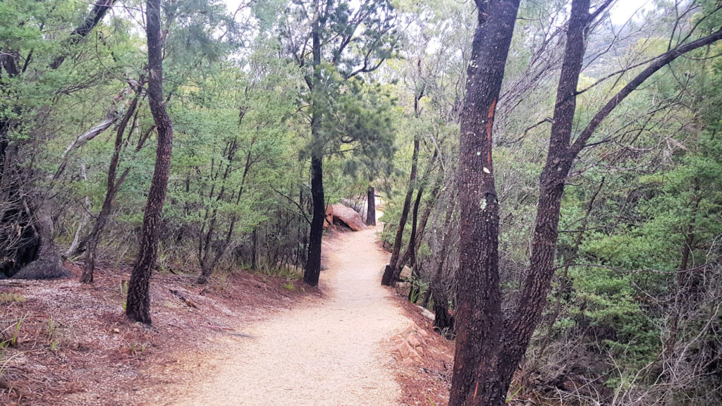 Wineglass Bay Track