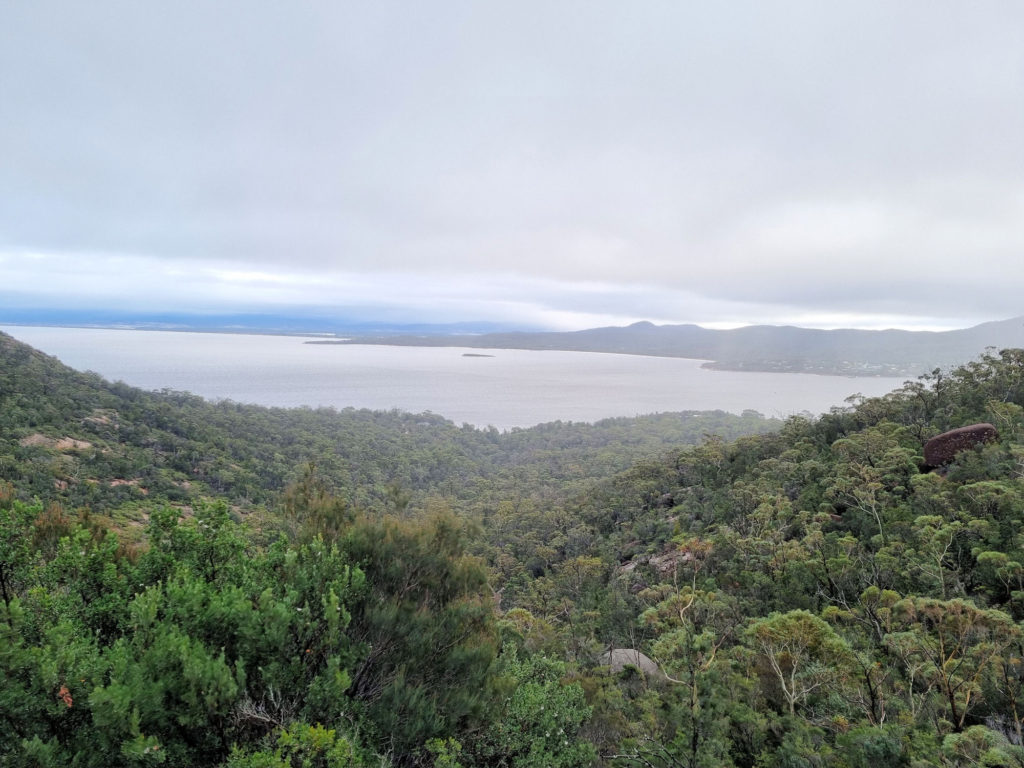 View Looking Back Over Coles Bay