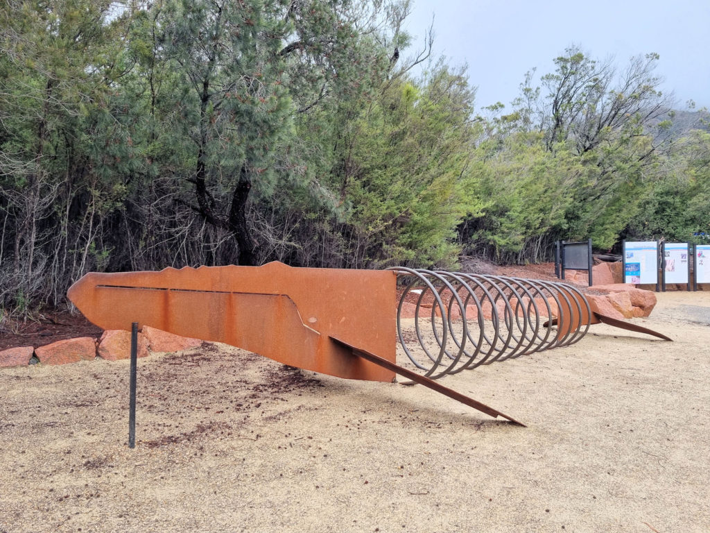 Whale of a Bike Rack Wineglass Bay