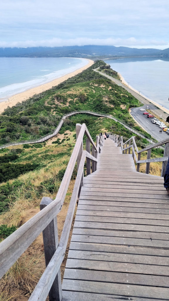 Stairway Up To The Lookout