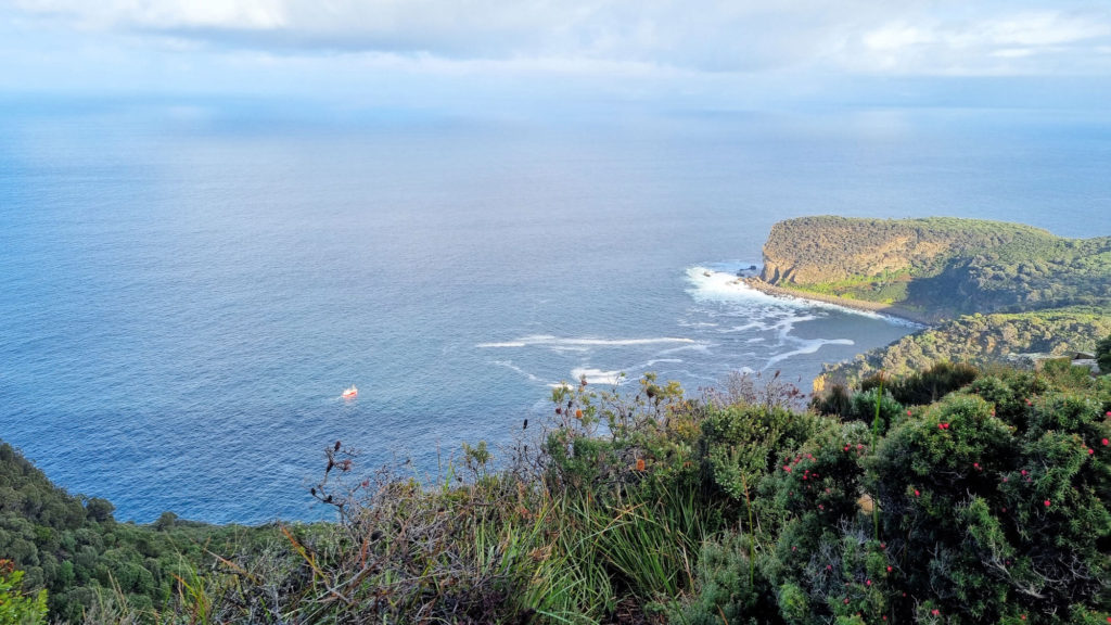 Shipstern Bluff Lookout