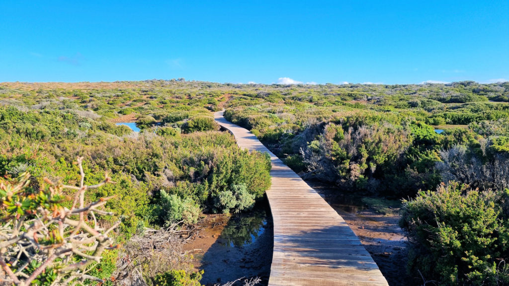 Boardwalk on the Plateau Cape Raoul Track