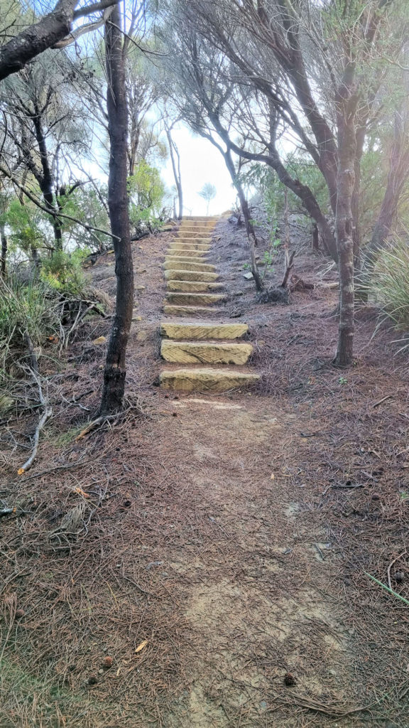 Steps Going Up on the Return Trip