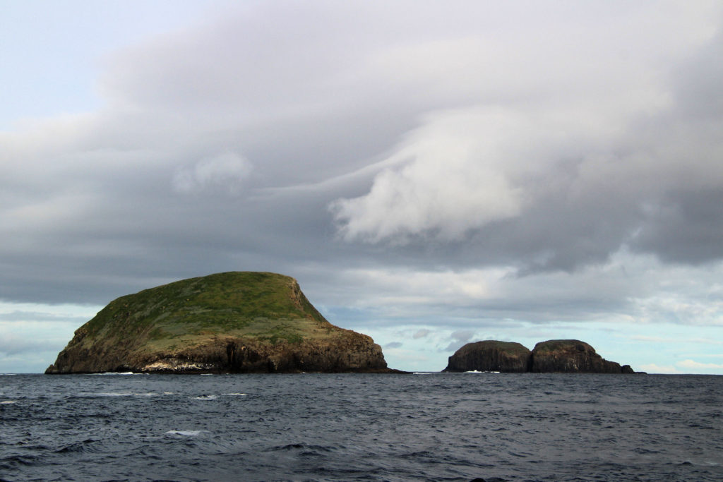 The Friars Bruny Island Wilderness Cruise