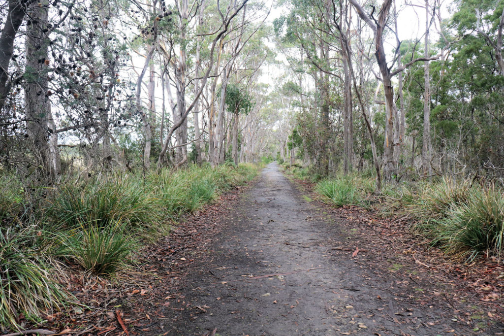 Cape Queen Elizabeth Track