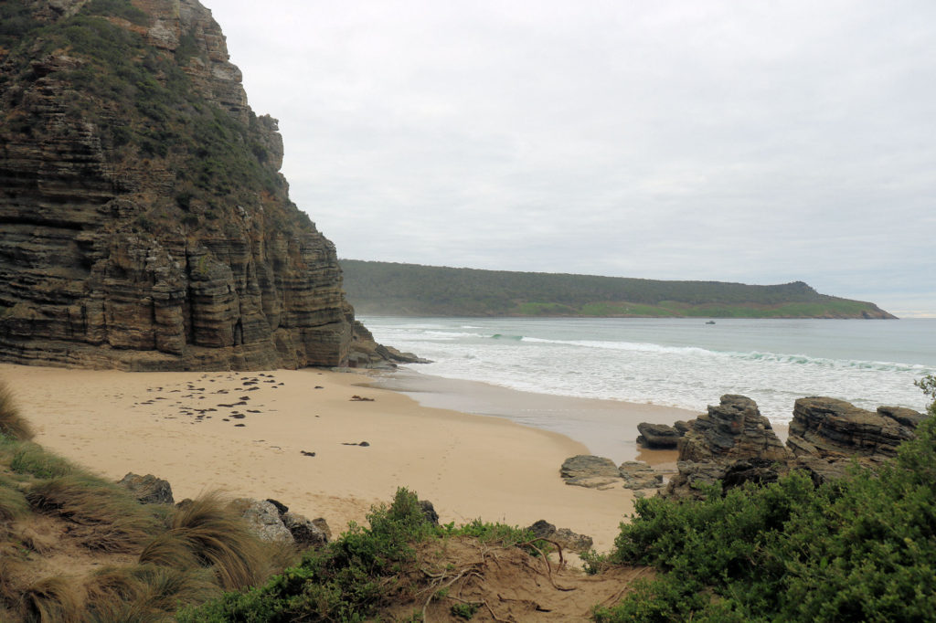 Small Beach Near Bligh Rocks Cape Queen Elizabeth Track