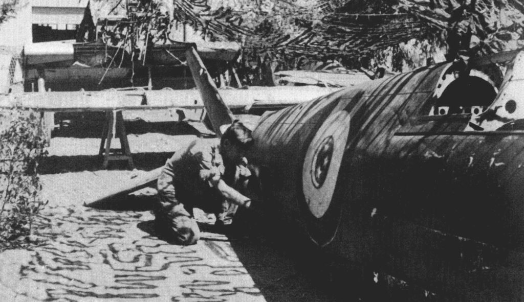 Shot Down REAF Supermarine Spitfire Mk.IX Being Recovered by Israel