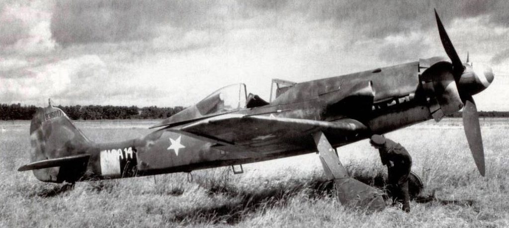 Focke-Wulf Fw 190D-13 Wk.Nr. 836017 USA14 FE-118