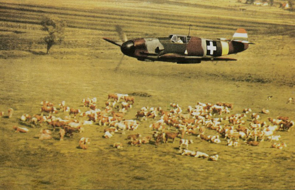 Messerschmitt Bf 109F-4 RHAF experimental camouflage scheme