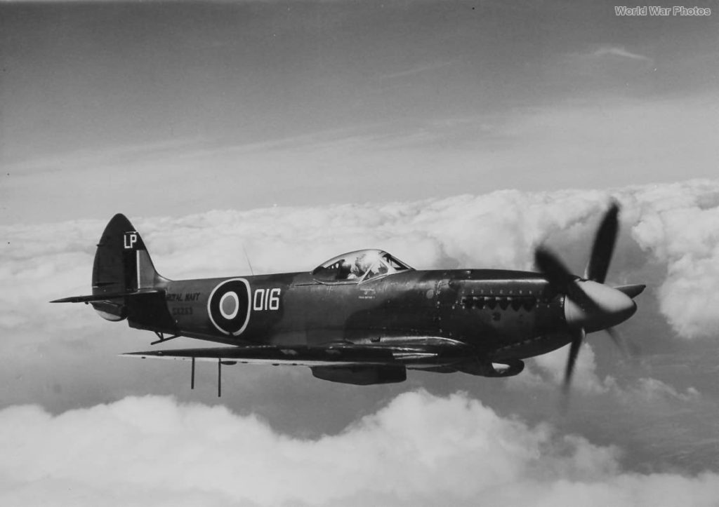 Supermarine Seafire F Mk XVII SX283 of No. 778 Squadron 1946