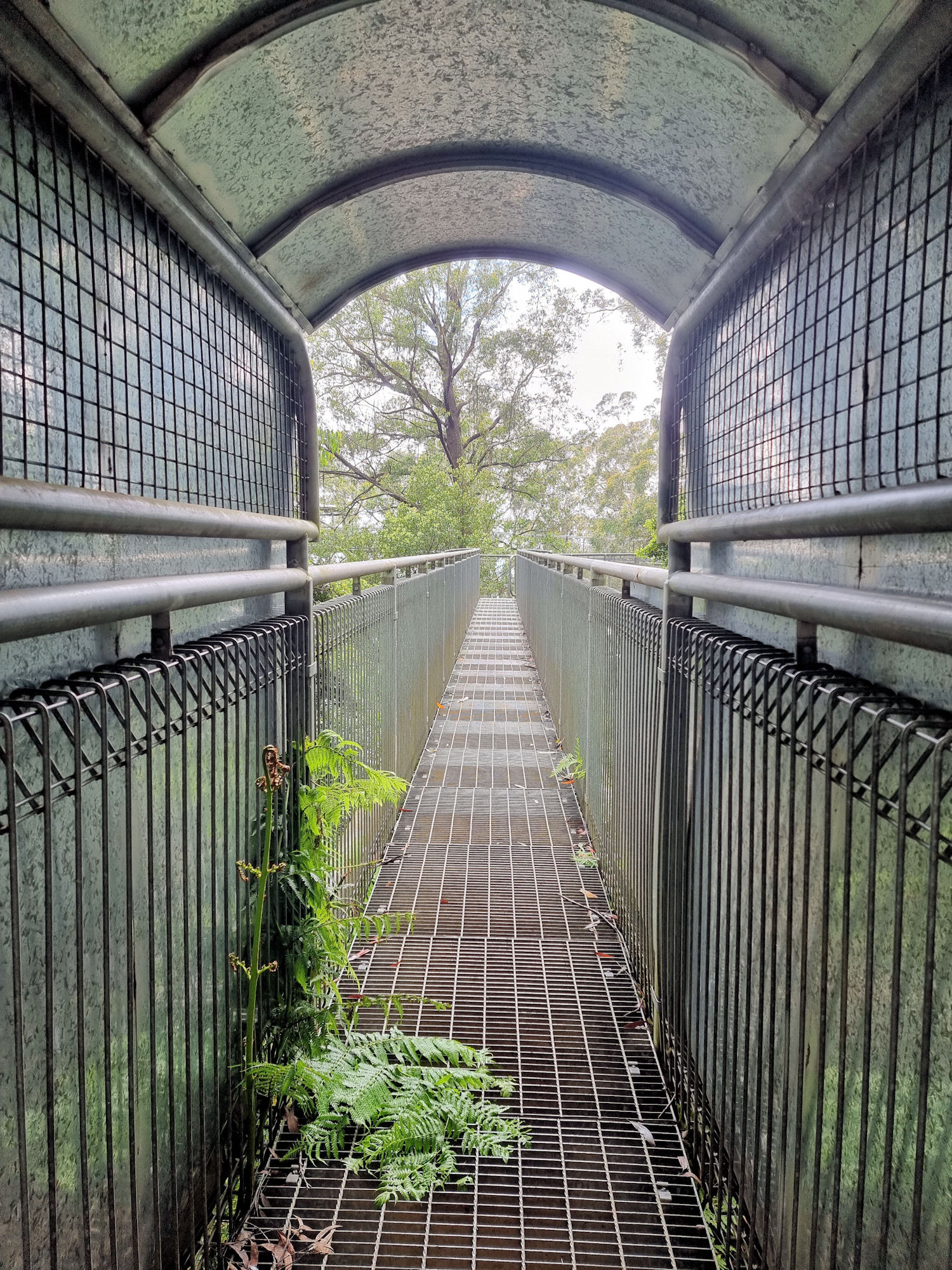 Covered entrance to the tree top walk