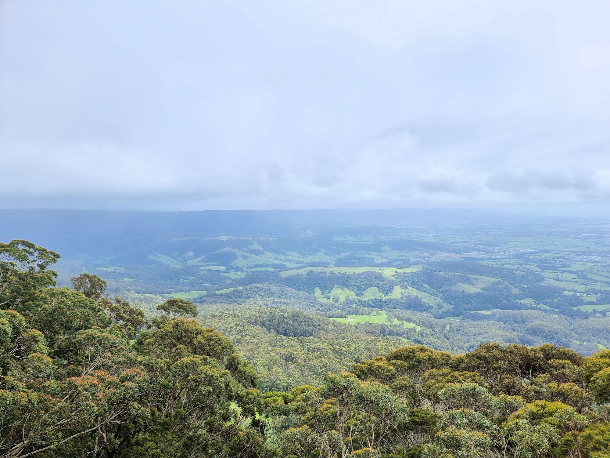 View from the top of the tower